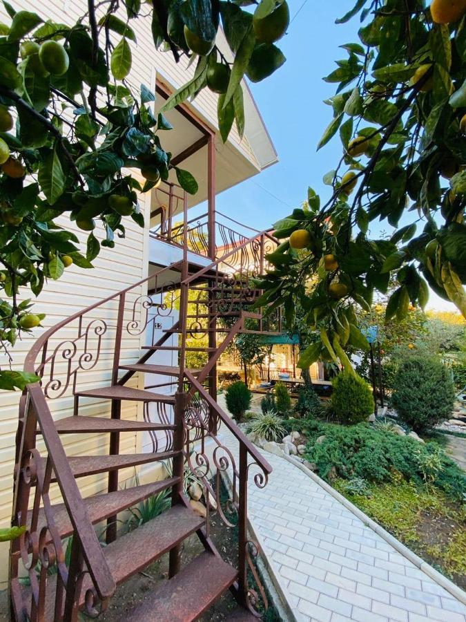 Primorie Guest House 찬드리프쉬 외부 사진